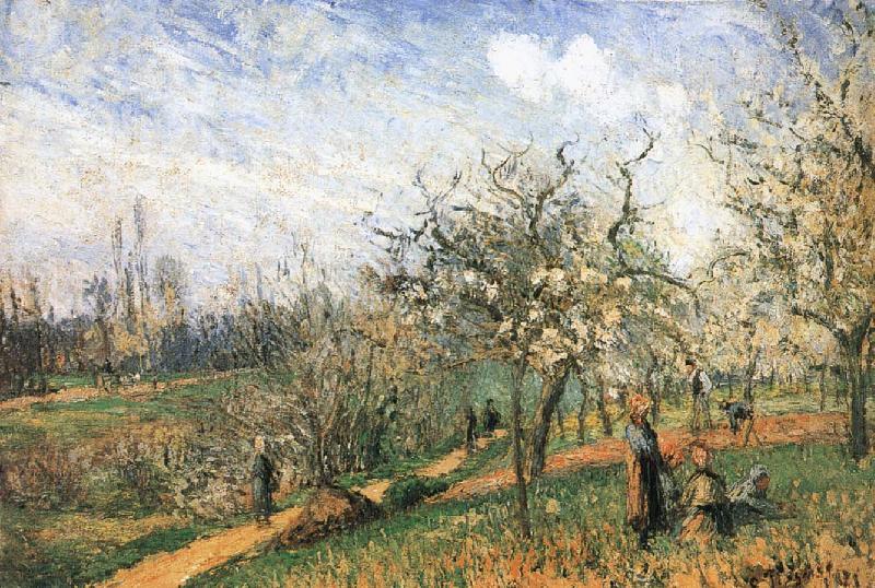 Camille Pissarro Pang map of apple Schwarz oil painting picture